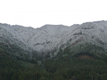 2013年初雪